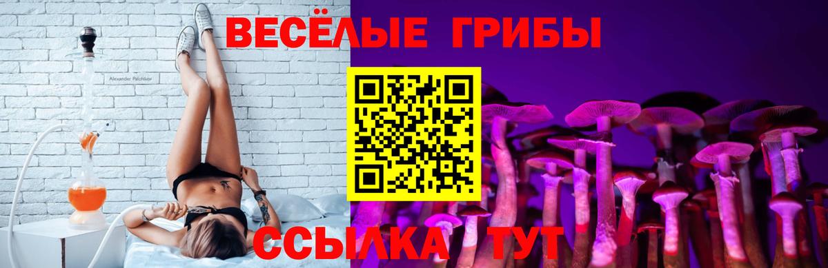 Галлюциногенные грибы ЛСД Нарьян-Мар